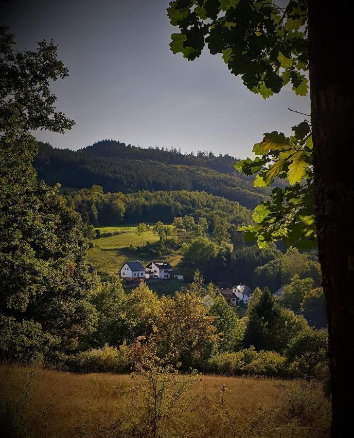 Apartmán Familiehuis Dolve Mürlenbach Exteriér fotografie