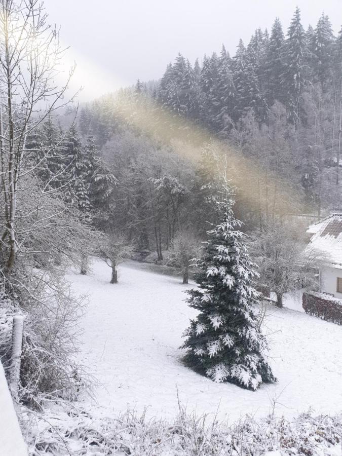 Apartmán Familiehuis Dolve Mürlenbach Exteriér fotografie