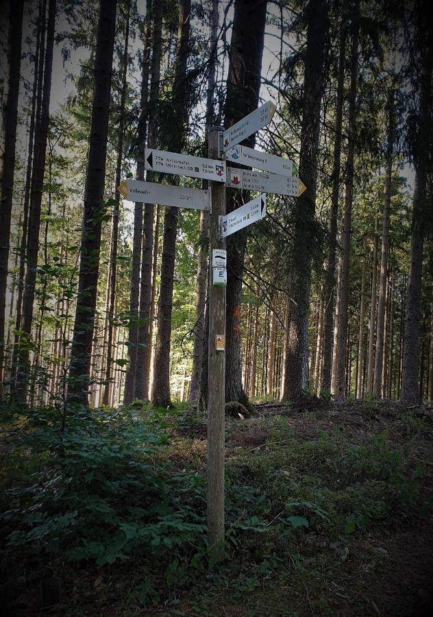 Apartmán Familiehuis Dolve Mürlenbach Exteriér fotografie