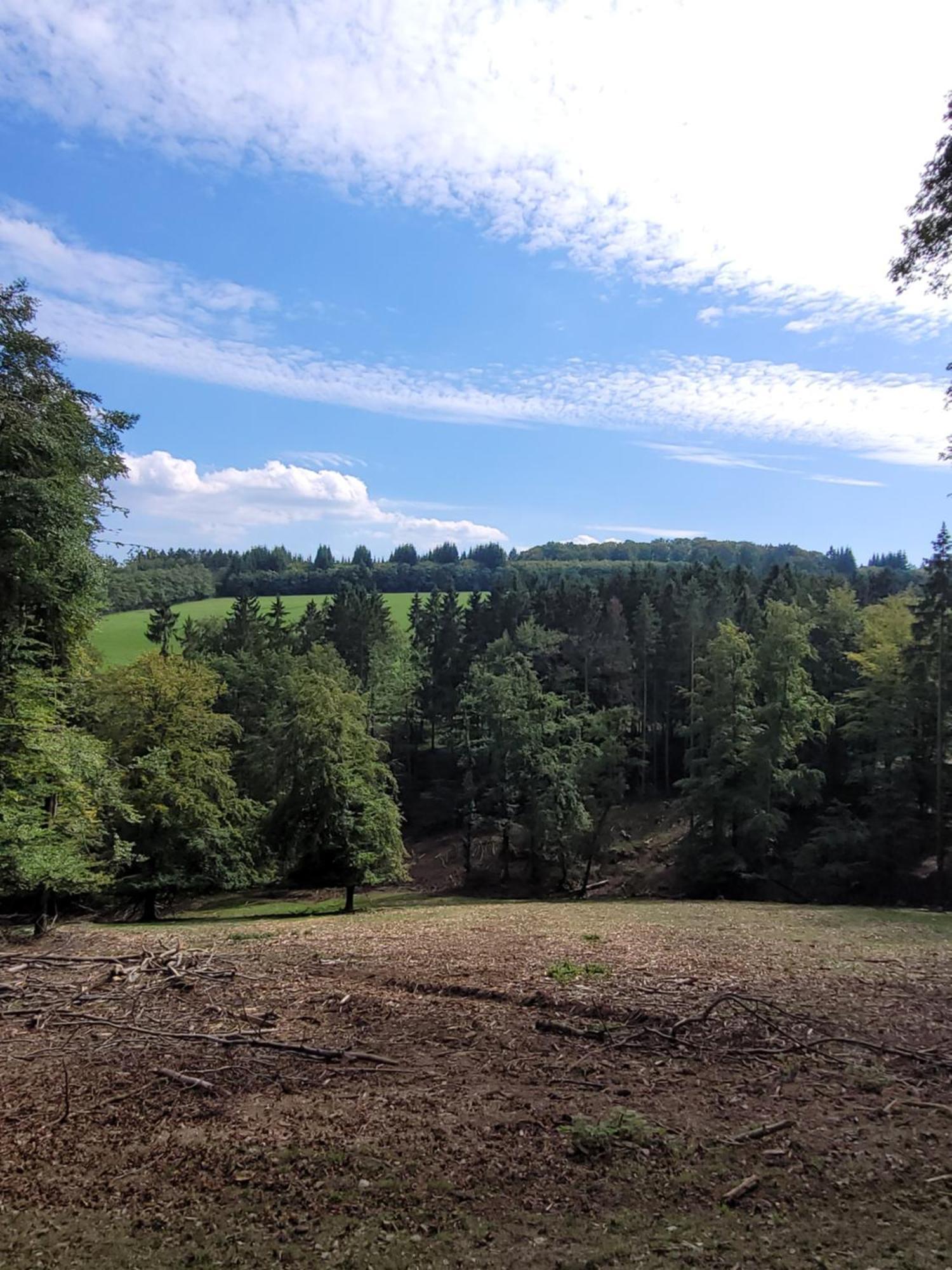 Apartmán Familiehuis Dolve Mürlenbach Exteriér fotografie