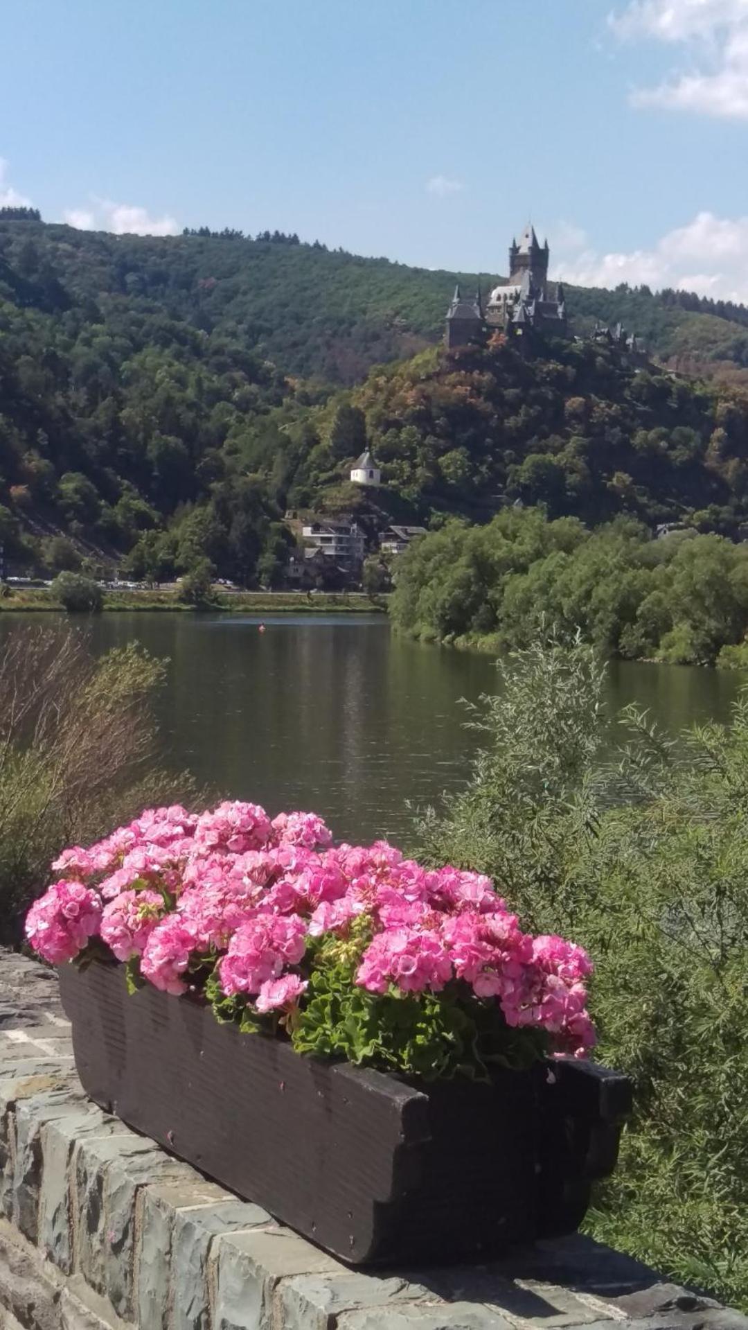 Apartmán Familiehuis Dolve Mürlenbach Exteriér fotografie