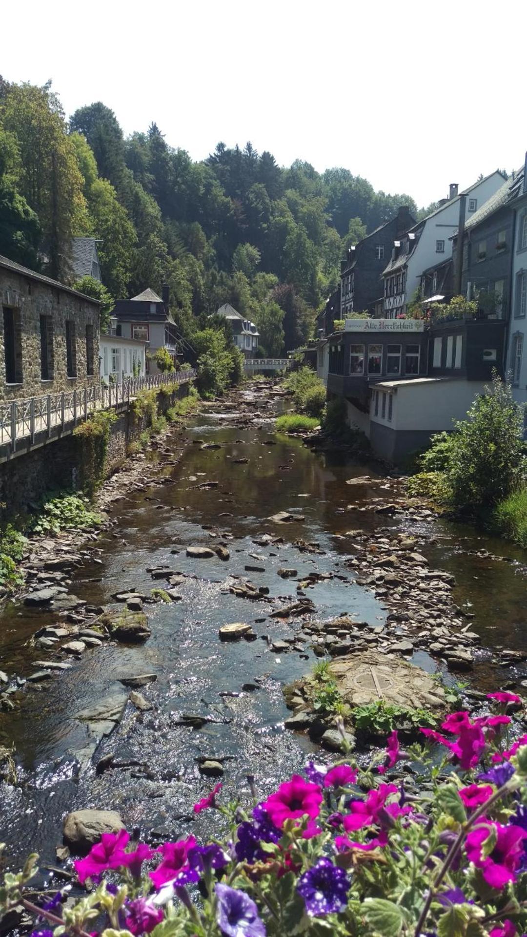 Apartmán Familiehuis Dolve Mürlenbach Exteriér fotografie