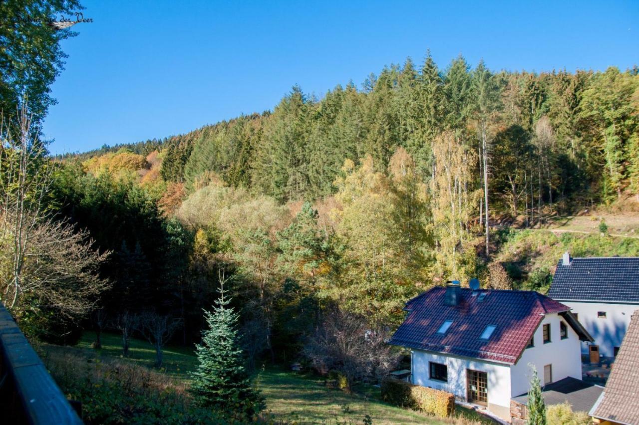 Apartmán Familiehuis Dolve Mürlenbach Exteriér fotografie